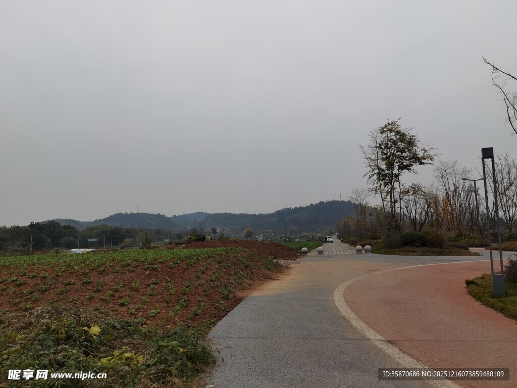 郊外蜿蜒小路风景