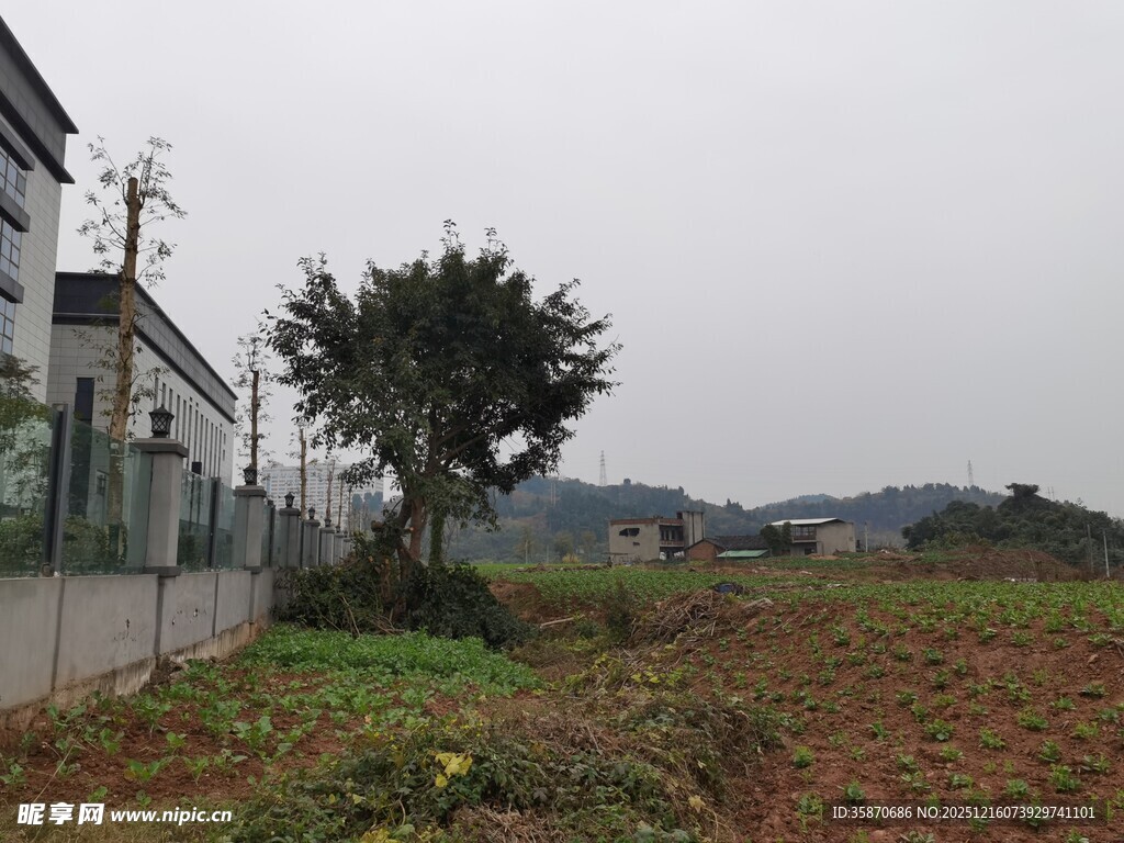 乡村田野旁的现代建筑