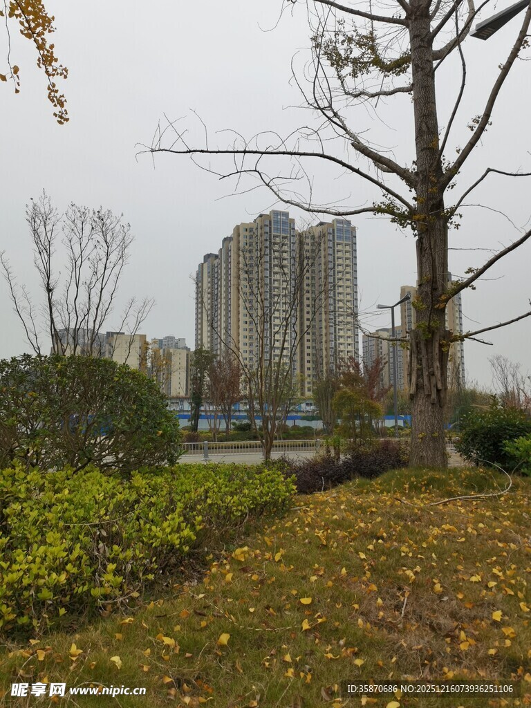 城市秋冬户外景致