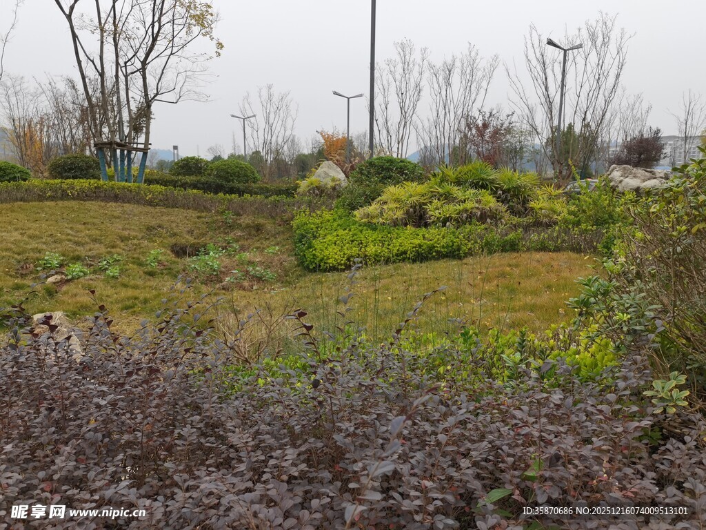 郊外自然景观绿植繁茂