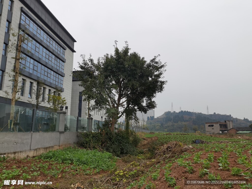 现代建筑旁的绿植景观