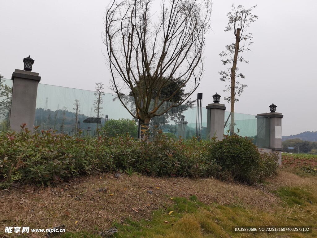 户外围栏边的绿植景观