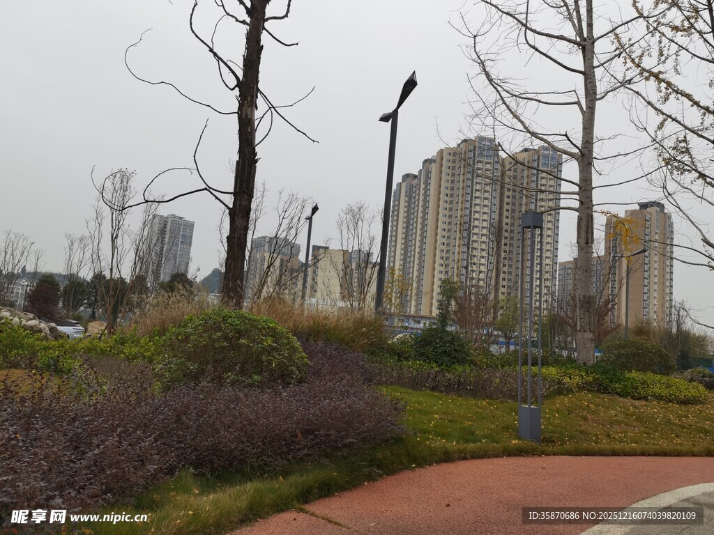 城市公园中的萧瑟冬日景象