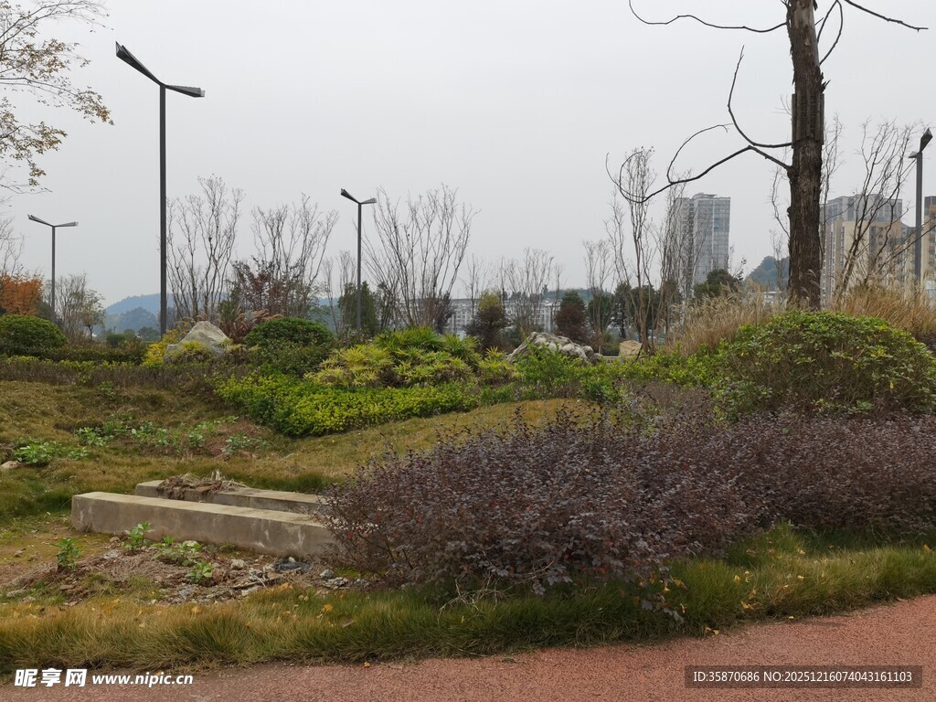 城市中的绿植景观