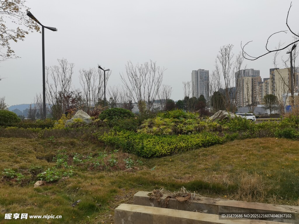 城市中的荒废绿植景观