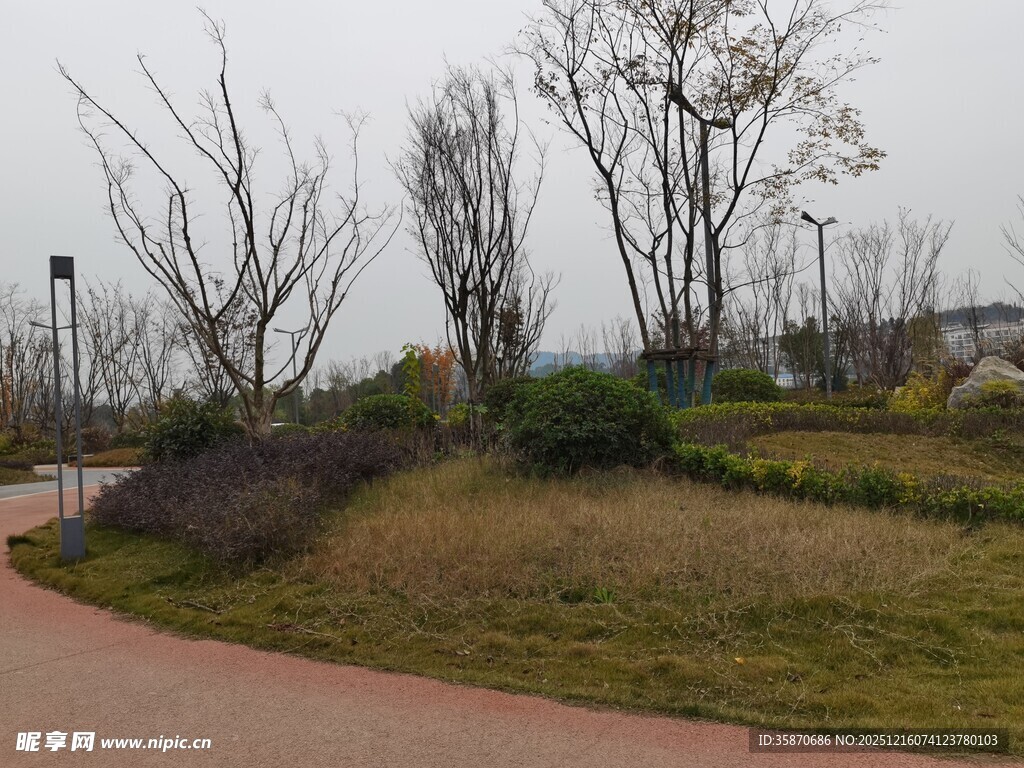 城郊冬日小路景观