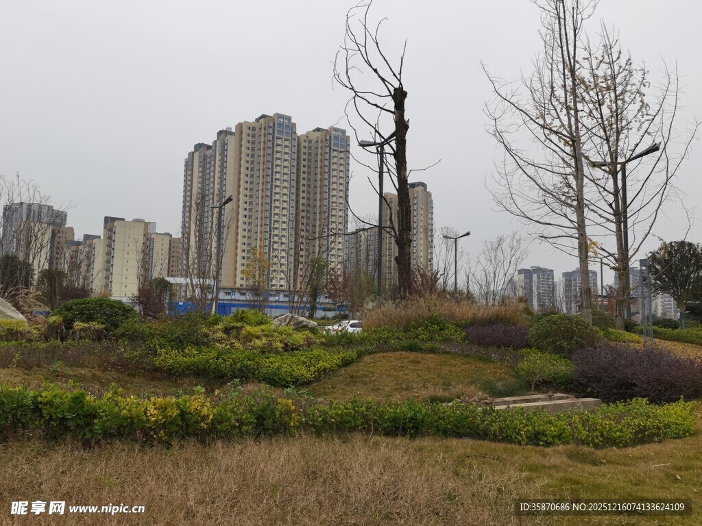 城市边的绿地与高楼景观