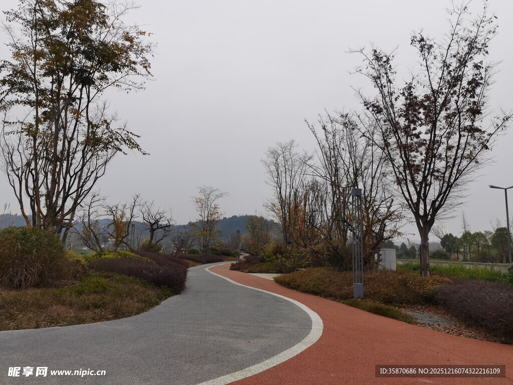蜿蜒多彩步道树木相伴