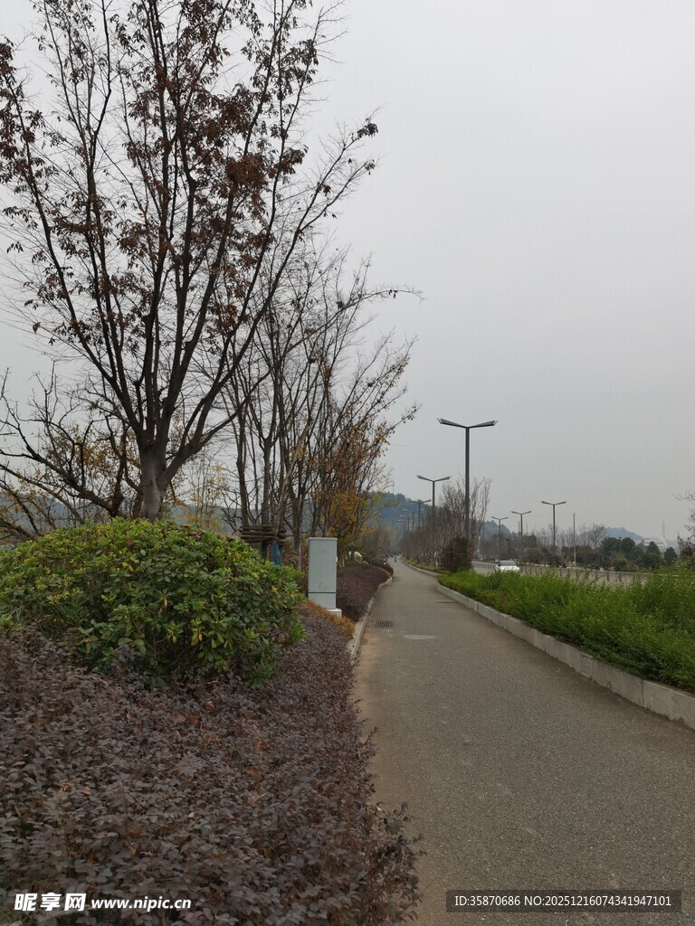 城郊静谧小路景观