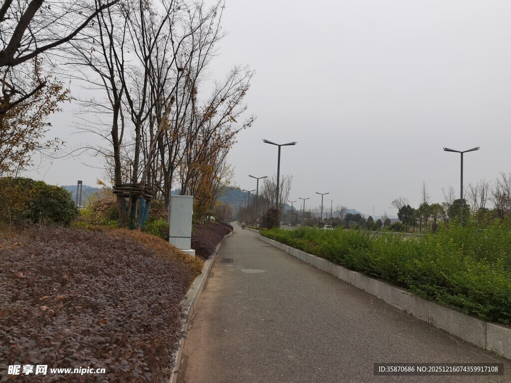 乡间小道上的骑行者