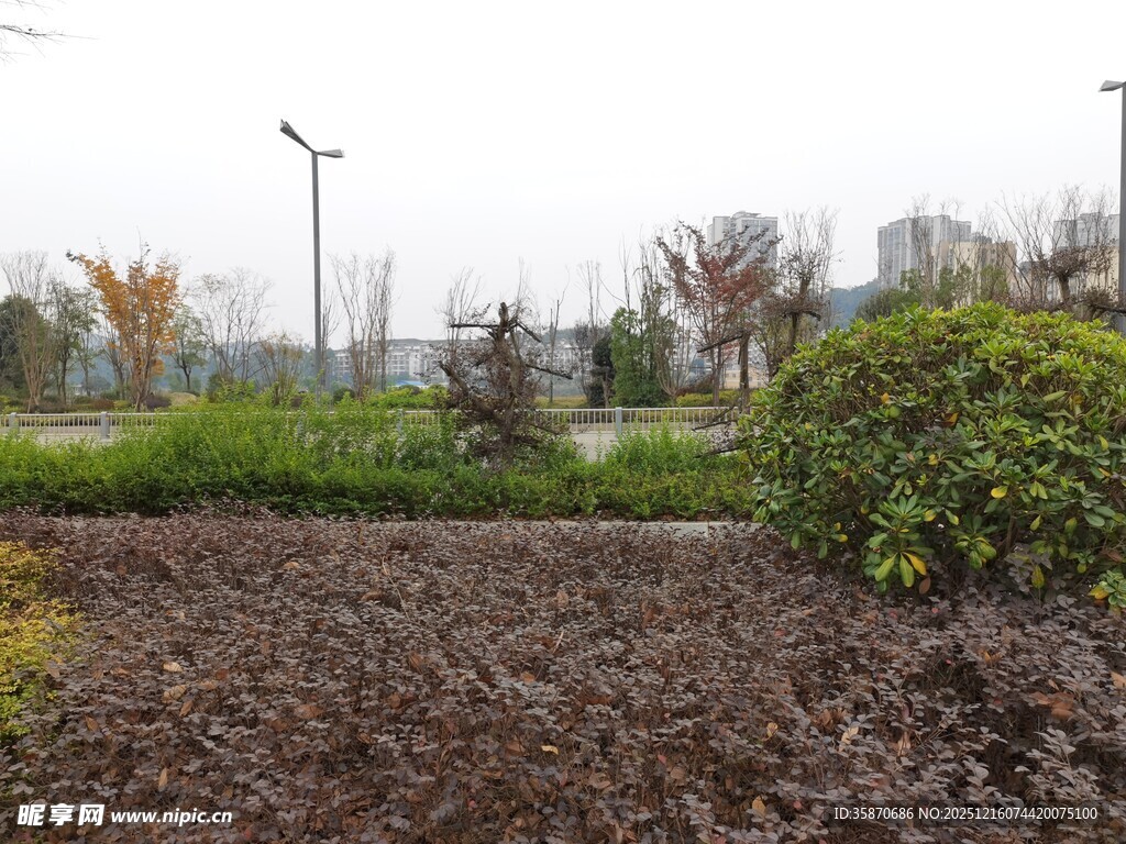 户外绿植与开阔土地景观