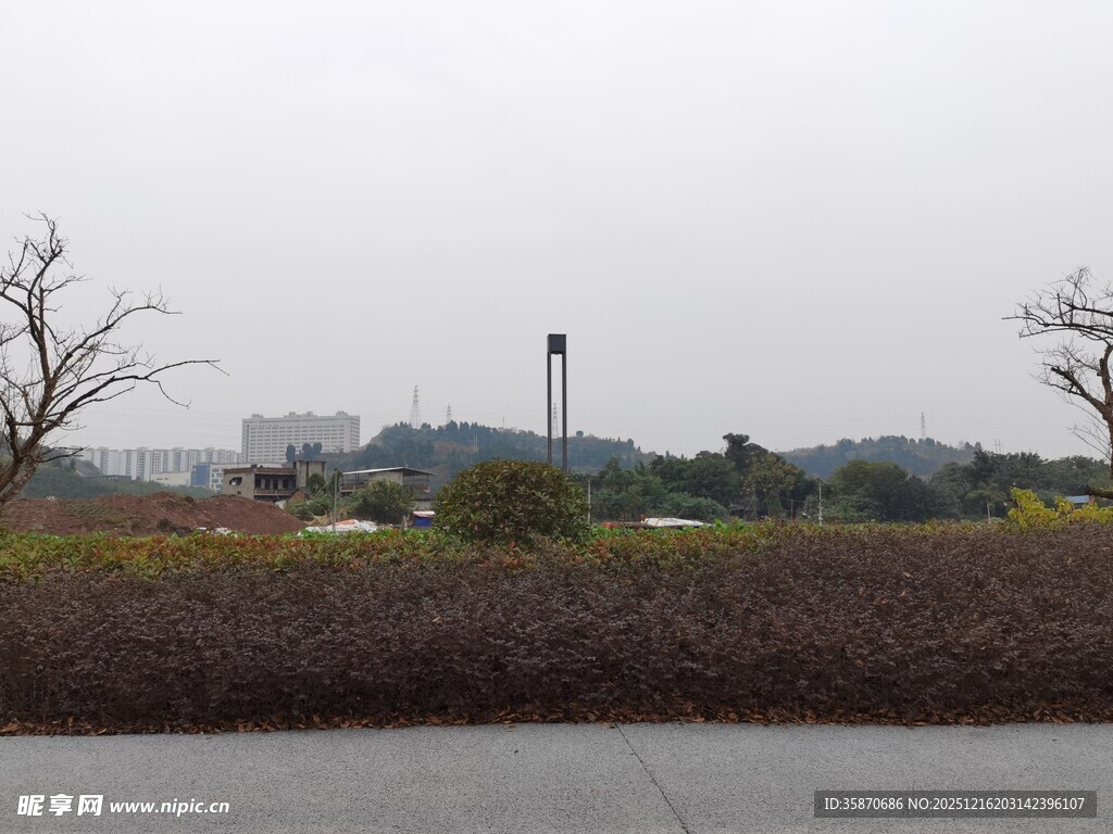 郊外景致稀疏树木与植被