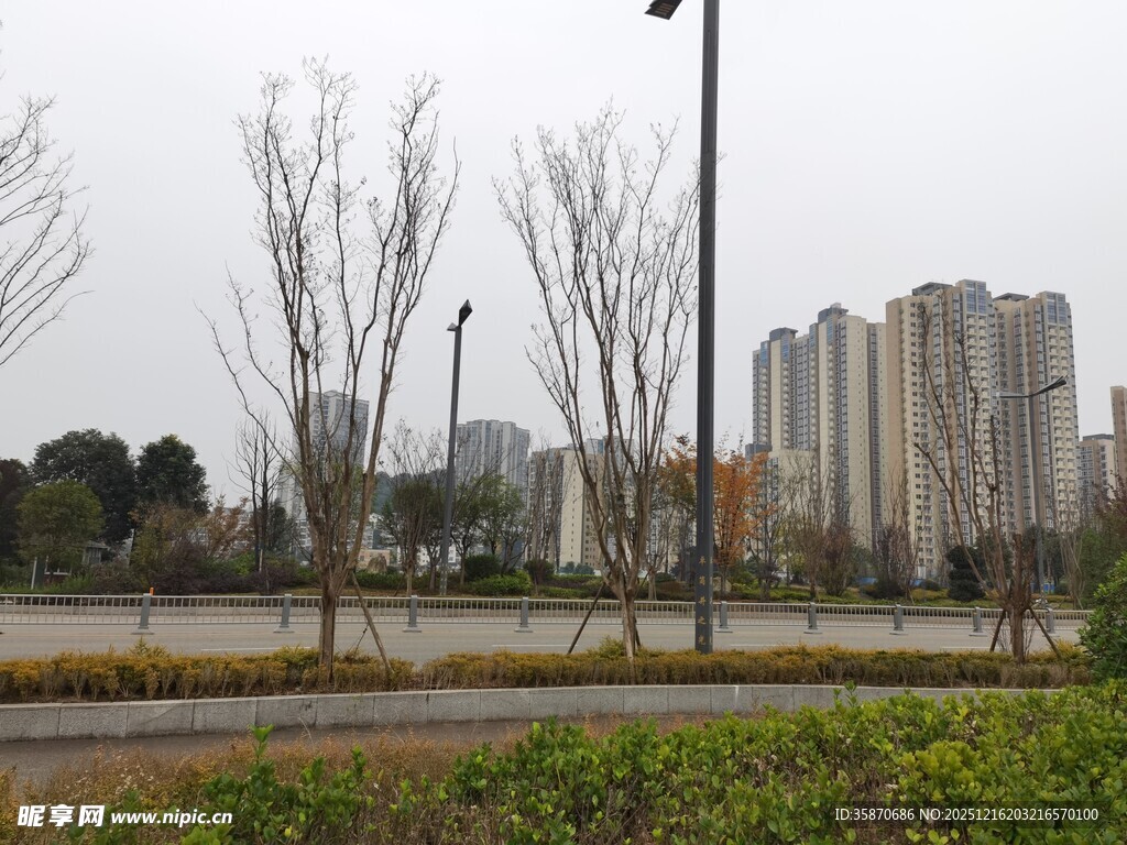 城市冬日公园景观