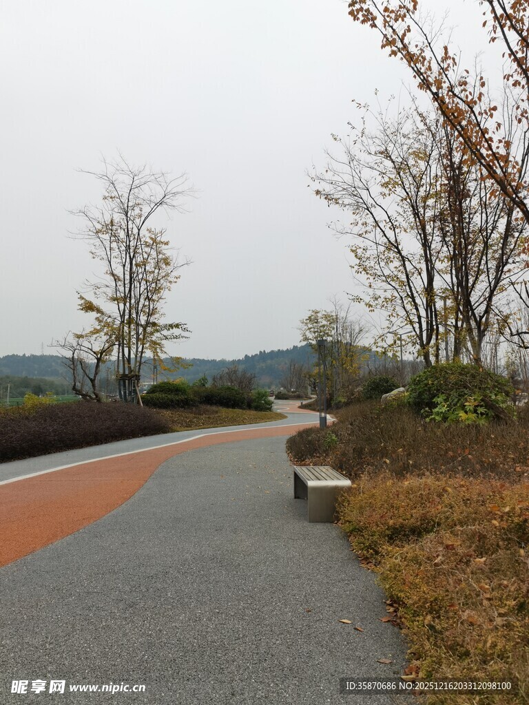 秋日公园静谧步道景观