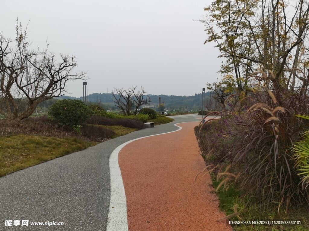 郊外蜿蜒的彩色骑行道路