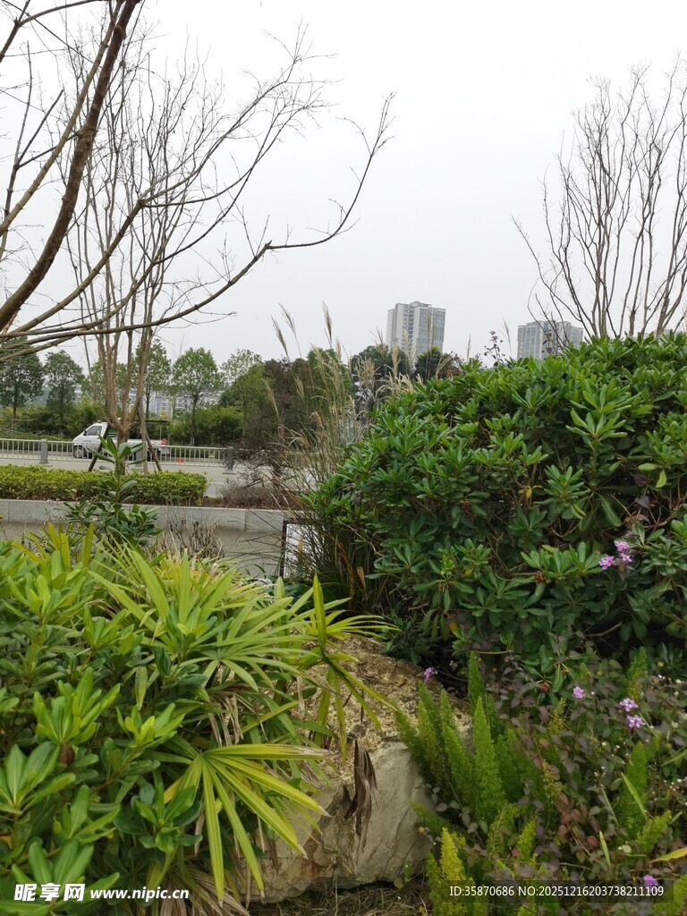 城市中的静谧绿植景观