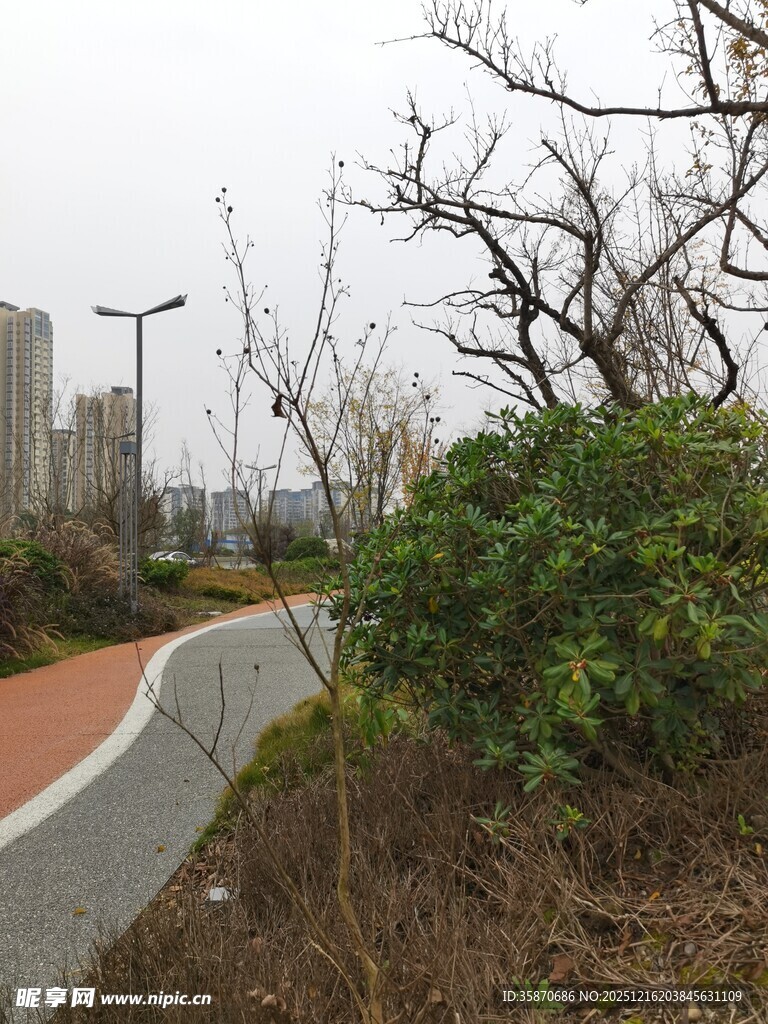 城市中的蜿蜒绿植小径