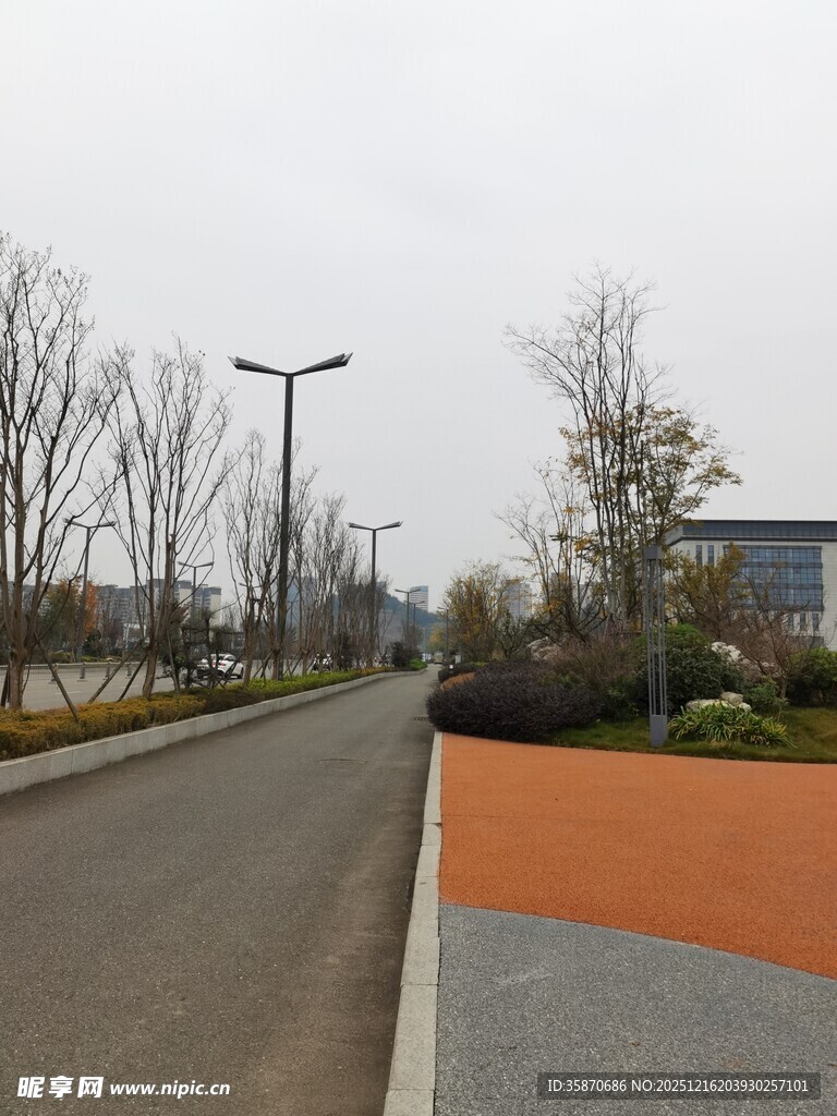 空旷道路旁的多彩景观带