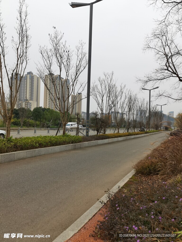 城市空旷道路与稀疏树木