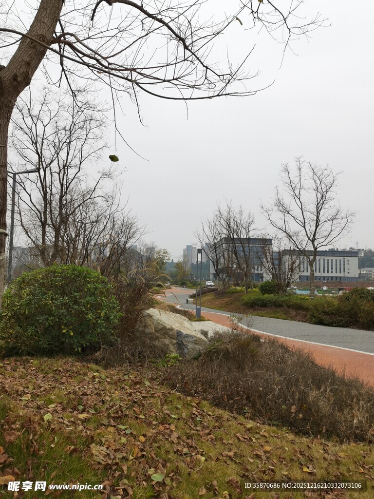 城郊冬日小路景观