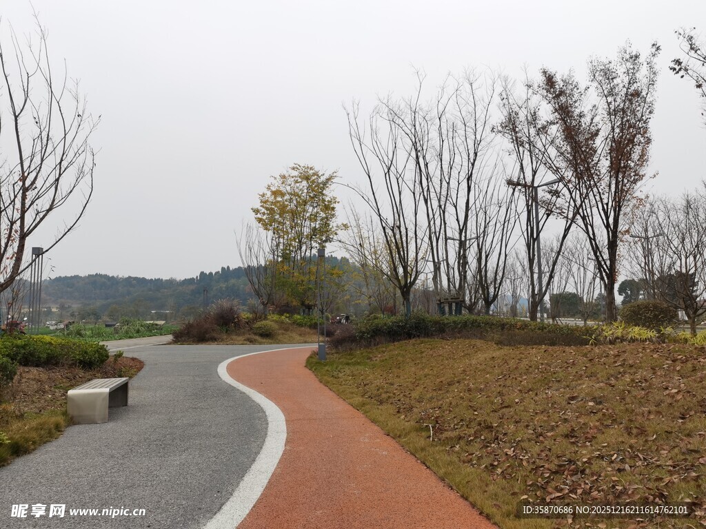 秋日公园蜿蜒彩色步道