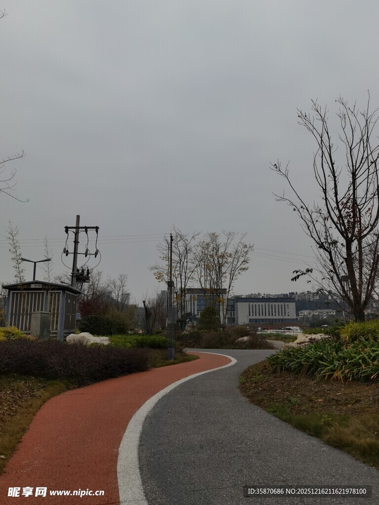 蜿蜒小路旁的绿植与设施