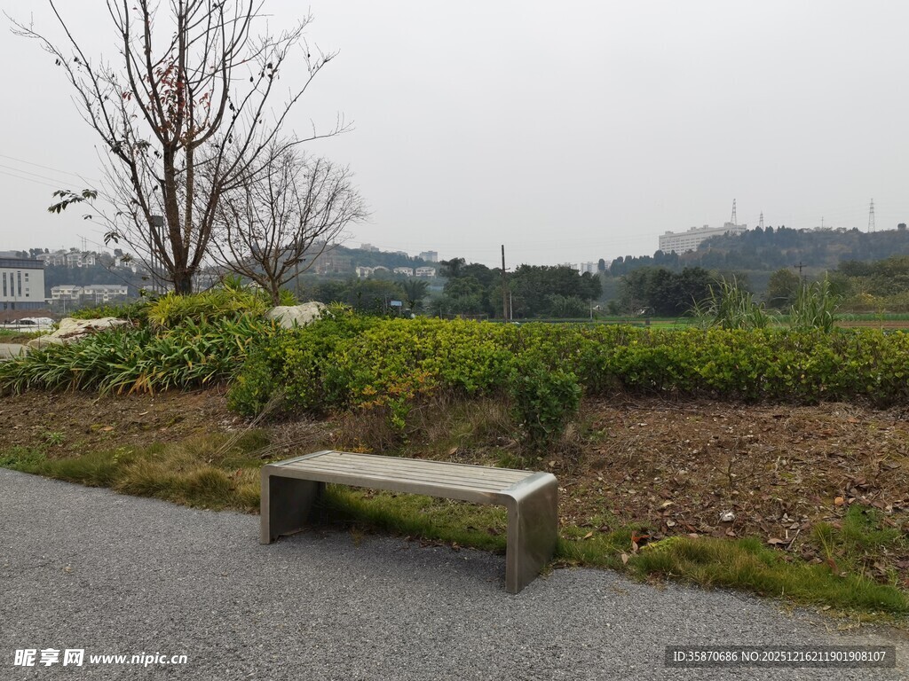 户外空长椅静谧自然景