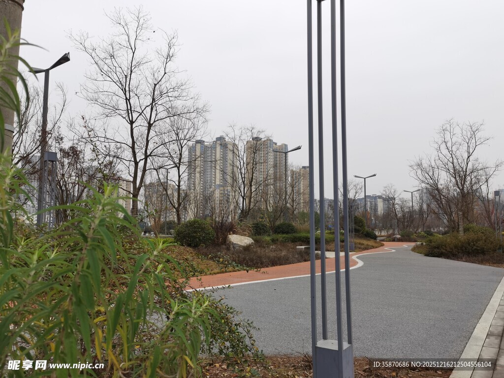 城市道路旁的绿植与路灯