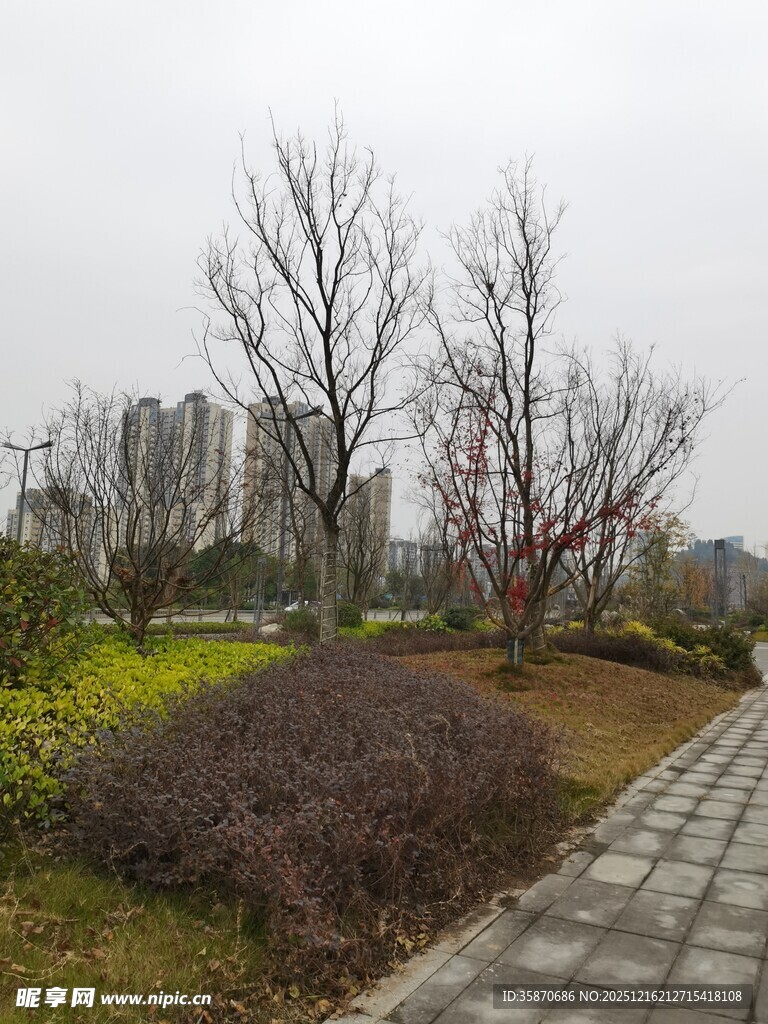 城市冬日公园景观一角