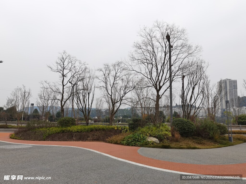 城市公园冬日景观道路