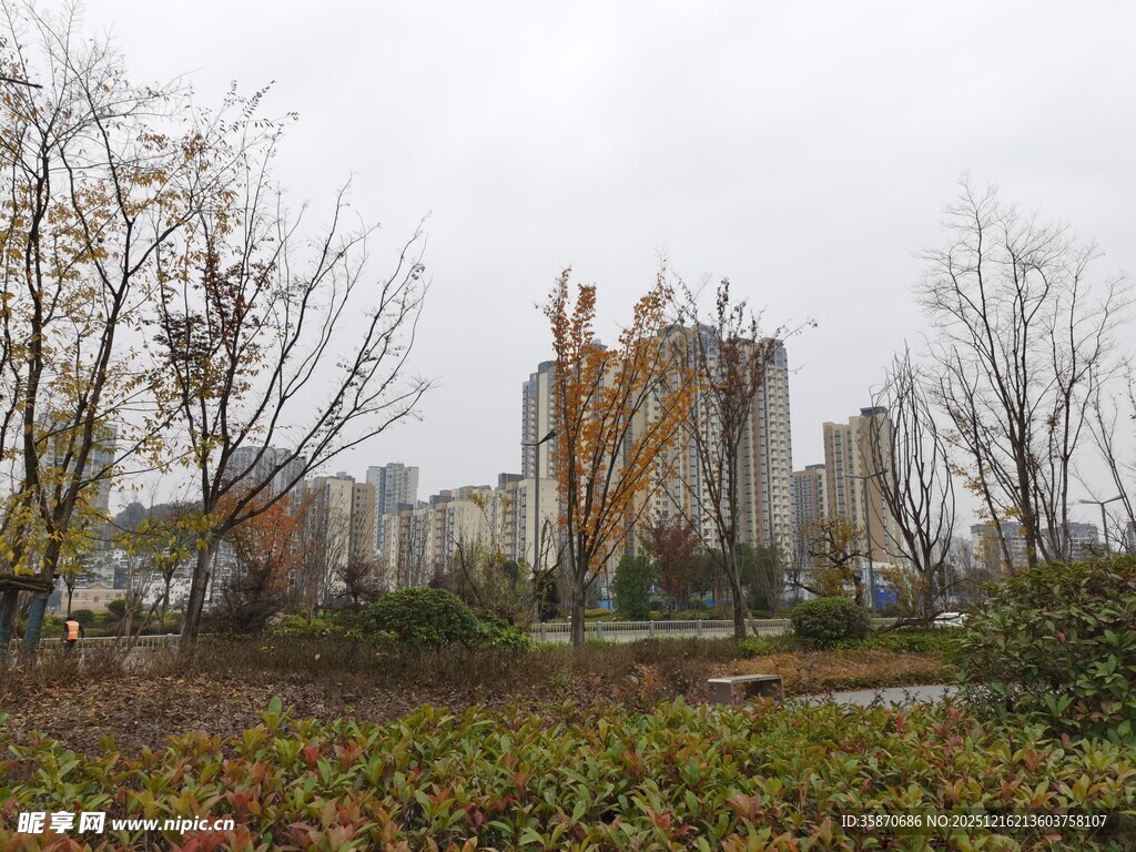 城市景观中的多彩建筑