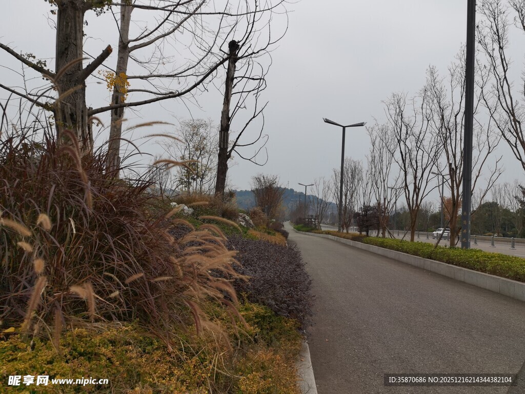 冬日空旷道路旁萧瑟景象