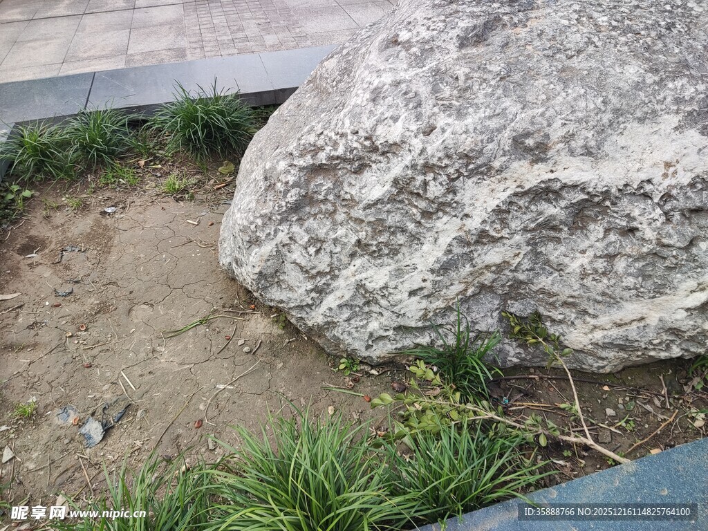 大石旁的绿植景观