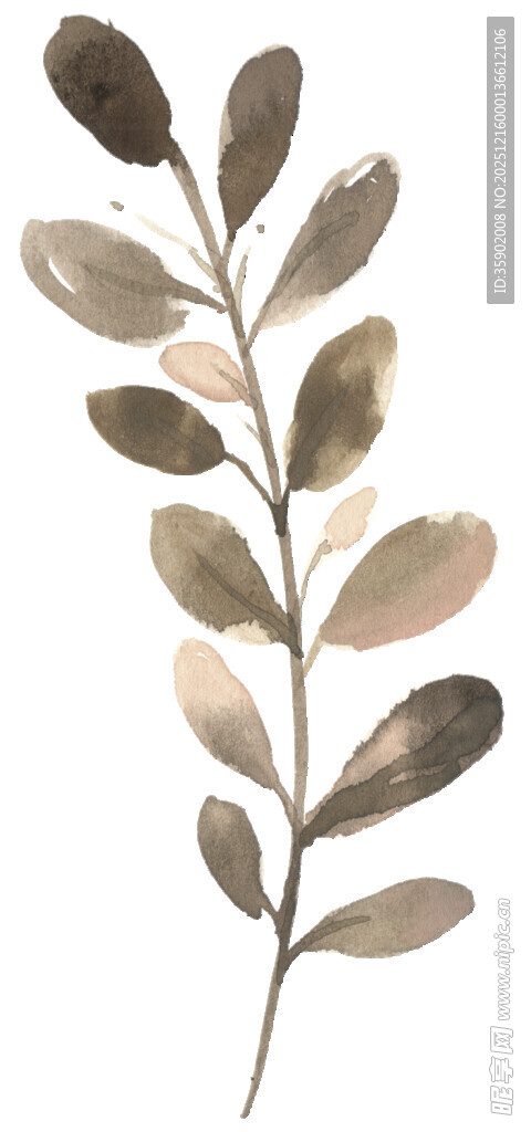 手绘简约植物枝叶图案