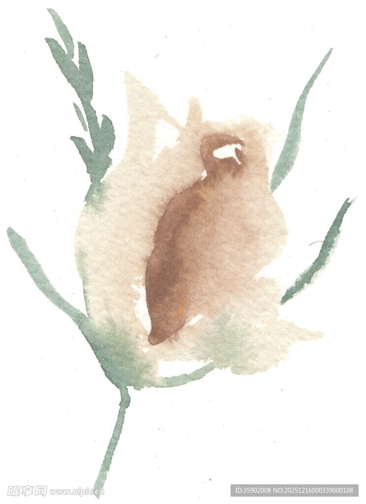 水彩画中的可爱松鼠与枝叶