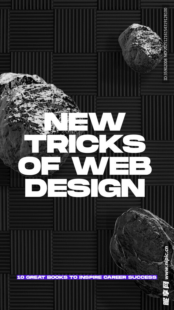 网页设计新技巧书籍封面