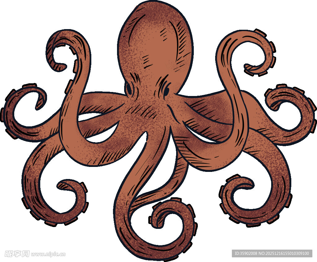 复古风格章鱼插画图案
