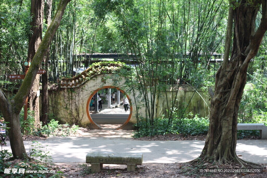 林间幽径静谧自然景致