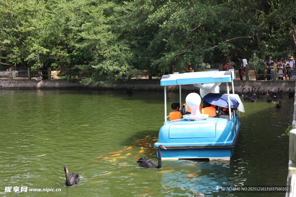 蓝船游于绿水树林间