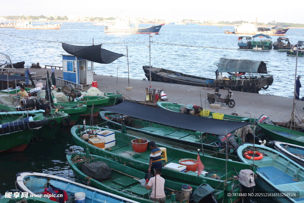 渔村码头的多彩渔船景象