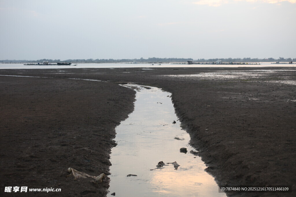 海边滩涂中的狭长积水带