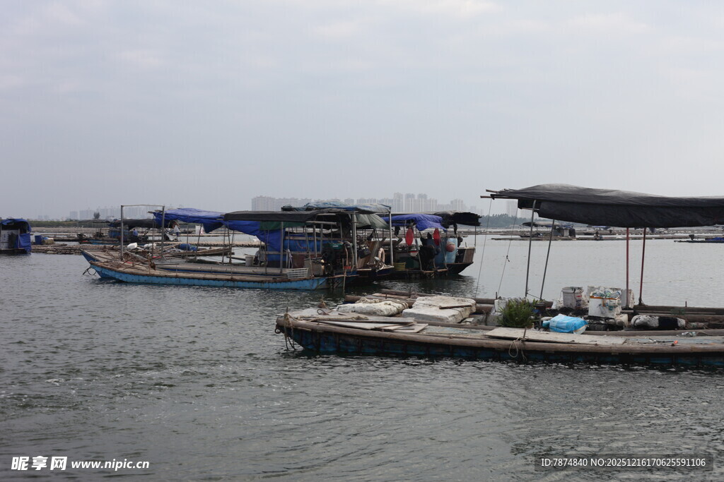 水上停泊的船只场景