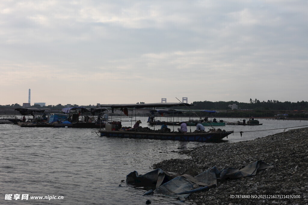 江边停泊的船只景象