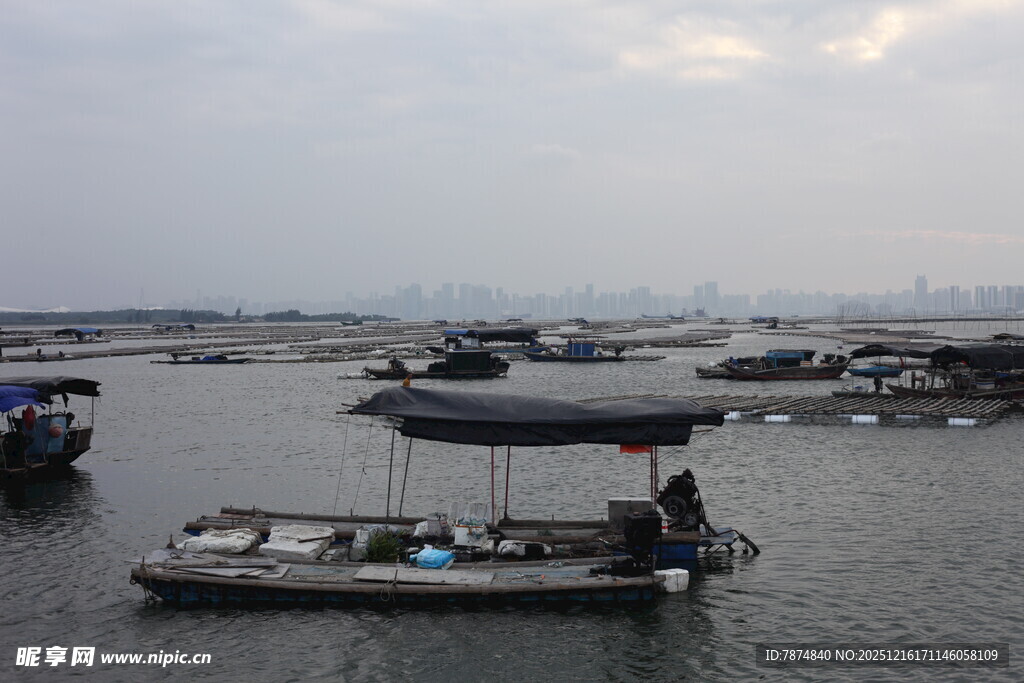 港口停泊船只景象