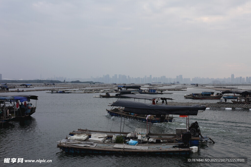 水上停泊的船只景象