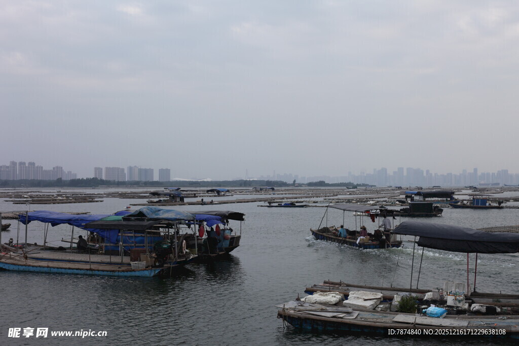 港口停泊船只景象