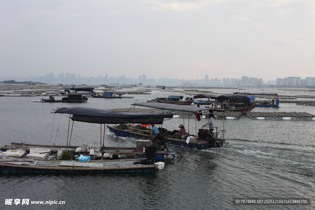 港口船只作业场景