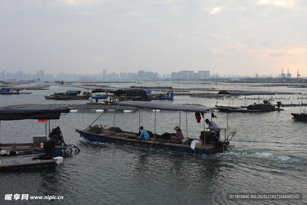 海上渔船航行景象