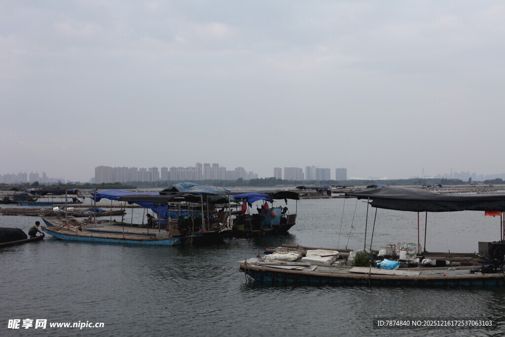 港口停泊船只景象