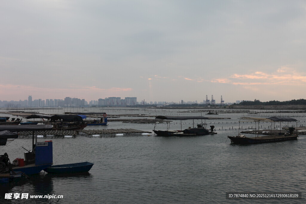 海港船只停泊景象
